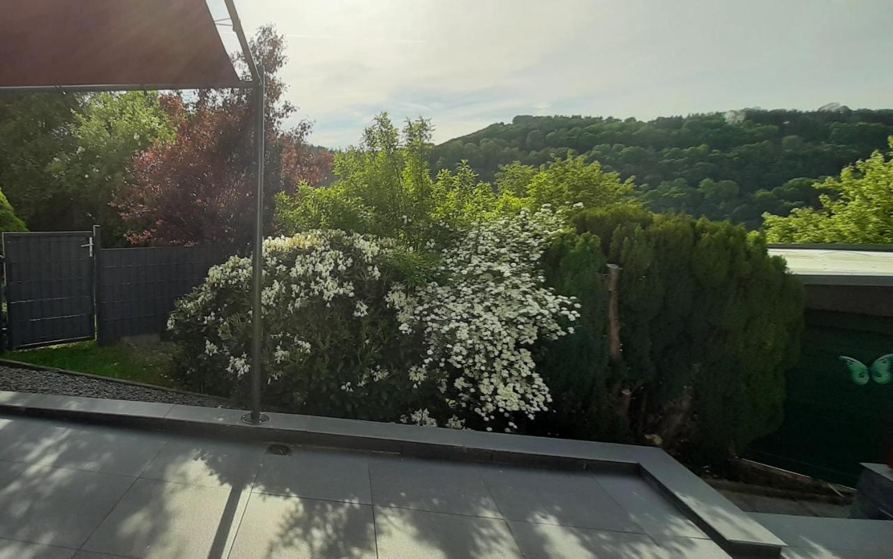 Vivanatura Eifelferienhaus Einruhr Kültér fotó