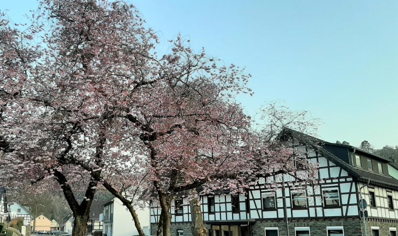 Vivanatura Eifelferienhaus Einruhr Kültér fotó